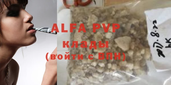 стаф Верея