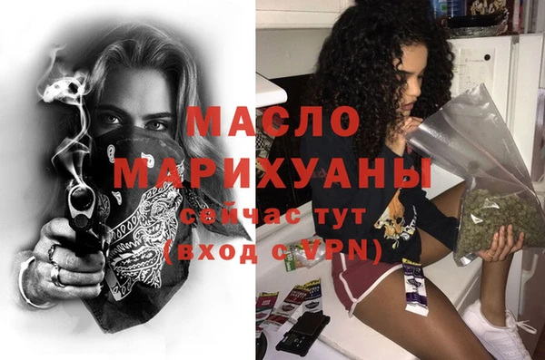 стаф Верея