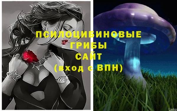 стаф Верея