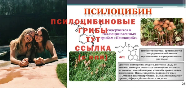 винт Верхний Тагил