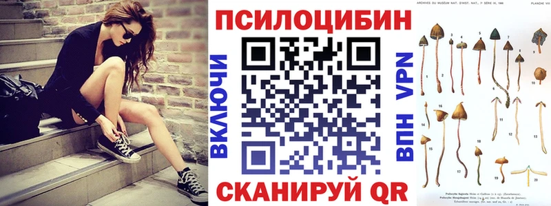 Галлюциногенные грибы Psilocybe  Калач 